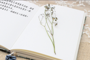 小灯塔-探秘地球南北极