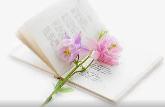 刘知白+张琦：秒懂AI实操变现与趋势视频课程