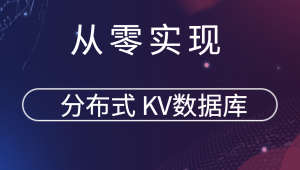 从零实现分布式 KV数据库