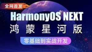 鸿蒙HarmonyOS NEXT星河版入门到实战