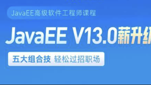 黑马JAVAEE V13 2024新项目实战 云岚到家v1.0