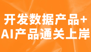 开发数据产品+AI产品通关上岸