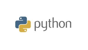小飞有点东西 三门Python实战课