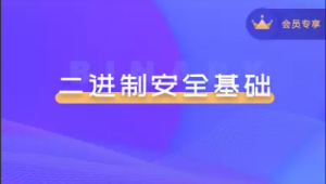 二进制安全系列教程