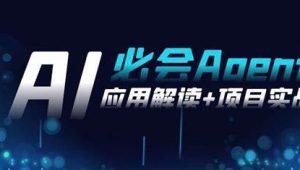 2024Ai必会 Agent(应用解读+项目实战)，一站式搞定Agent应用（71节课）