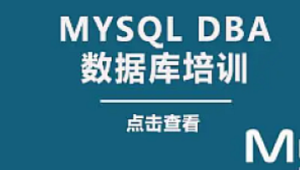 老男孩 大厂DBA直通班2期