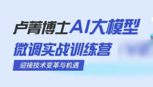 卢菁博士-AI大模型微调实战训练营