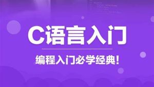 爱编程的大丙 C语言视频教程(非常详尽)