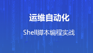 运维自动化shell脚本编程实战
