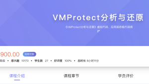 看雪-VMProtect分析与还原