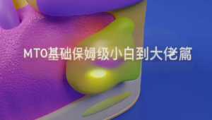 MT 0基础保姆级小白到大佬篇