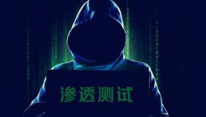 网站黑客与渗透测试  Website Hacking  Penetration Testing