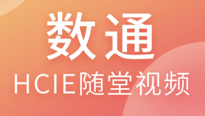 HCIE-Dadacom-数通杨大祥2024