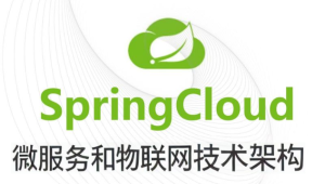 基于Spring Cloud 微服务和物联网技术架构 冰眼冷链实战项目（资料完整）