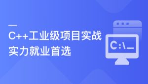 C++数据开放平台实战，手把手教你做工业级项目