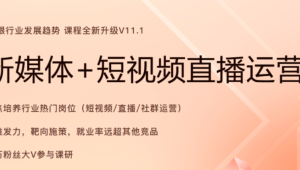 2024年11月版黑马新媒体+短视频直播课程
