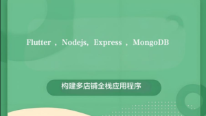 Flutter , Nodejs, Express , MongoDB: 构建多店铺全栈应用程序