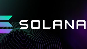 使用Rust和Typescript的Solana区块链开发者训练营(英文版)