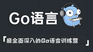 2025年最全面深入的Go语言训练营: 涵盖gRPC和Protocol Buffers(英文版)
