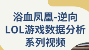 逆向LOL游戏数据分析系列视频