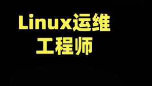 老男孩-运维就业课(85期)