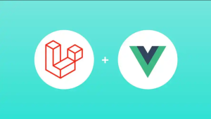 Laravel 11, Vue 3 & Inertia (2024) – Build APIs and SPAs