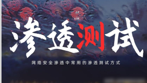 蚁景网安渗透测试工程师特训班15期