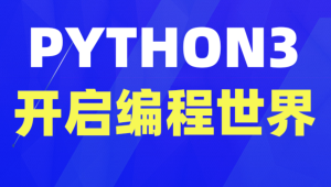 Python 3 编程入门指南(英文版)