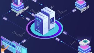 使用PHP, MySQL构建令人惊叹的流媒体服务(英文版)