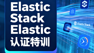 Elastic Stack Elastic认证特训