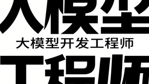 聚客大模型开发工程师VIP系统课（第五期L0、L1、L2课程）