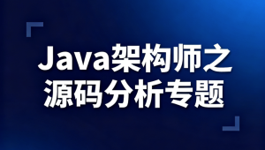 Java架构师之源码分析专题