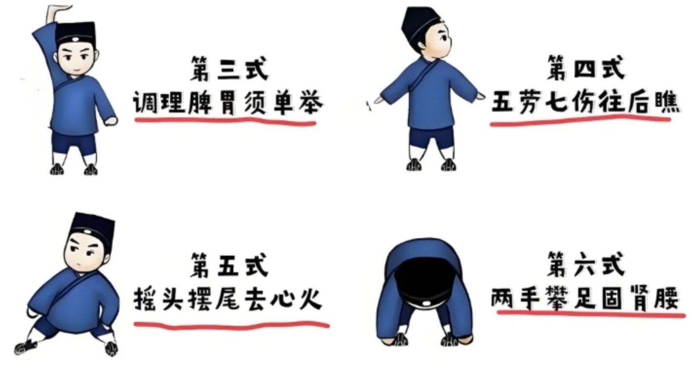 【养生视频】八段锦详细解说全套教程 —养生健身的智慧之选